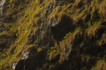 Panoramic scene from waterfallls at bamboo forest in road to hana, Maui, Hawai