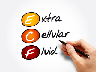 ECF - Extracellular fluid acronym, medical concept background