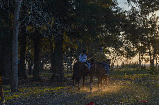 Cabalgata atardecer