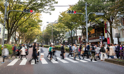 Obraz premium 原宿・表参道の横断歩道を渡る人々