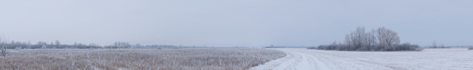 Panorama Overgrowth, bushes, trees and meadow in snow and magical frost. Winter fairy-tale landscape