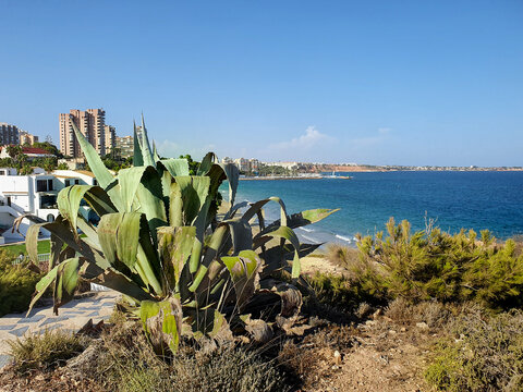 Vega Baja del Segura - Orihuela Costa - Paisajes de su costa