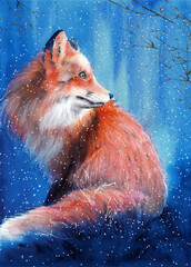 Watercolor illustration of a beautiful red fox with a fluffy tail sitting on a vivid blue background