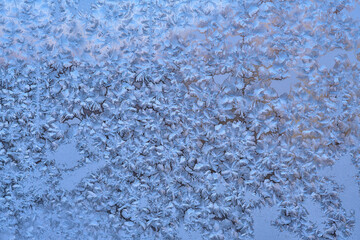 Ice texture crystal, blue tones background. Textured cold frosty surface of ice