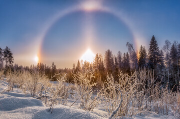 A very frosty winter day. Trees and grass are covered with white frost. Fantastic solar halo in the...