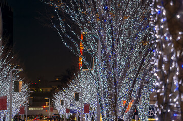 東京都港区六本木のクリスマスイルミネーションの景色