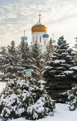 Obraz premium Snow-covered spruces of the city arboretum on the background of the snow-white temple.