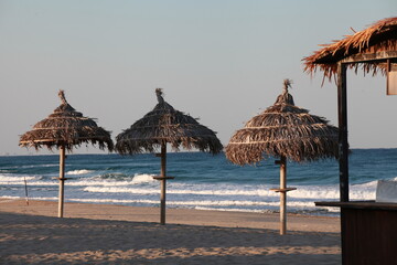 umbrellas on the beach