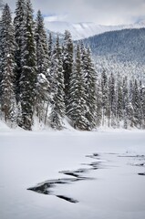 Ruisseau gel&eacute;