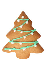 Gingerbread cookie