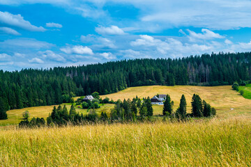 Germany, Black forest nature panorama and original houses at the edge of the forest a beautiful...