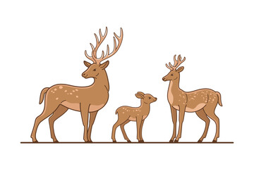 Deer, stag and fawn. Contour line vector illustration.