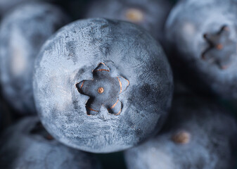 Fresh juicy blueberry background. Close up.