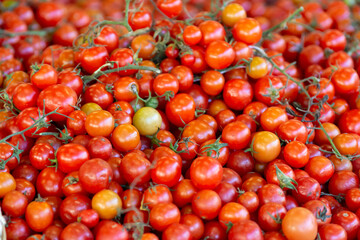 Close Up of Group of Fresh Tomatoes at the Italian market