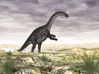 Apatosaurus dinosaur in the desert - 3D render
