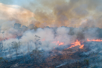 Incêndio na Floresta / Queimadas vista com Drone