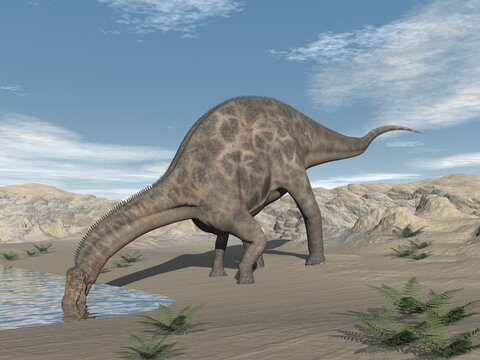 Dicraeosaurus dinosaur drinking in the desert - 3D render
