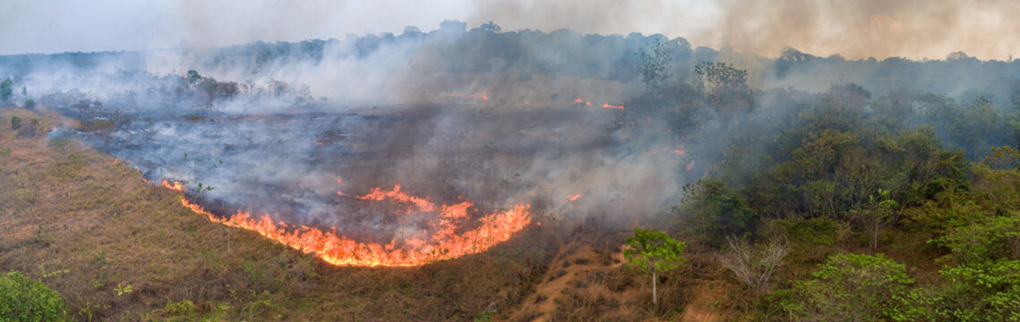 Incêndio na Floresta / Queimadas vista com Drone