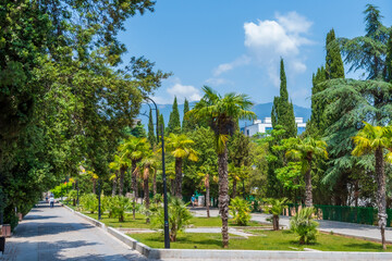 Obraz premium Beautiful summer park, a lot of greenery blue sky. Livadia Palace Park
