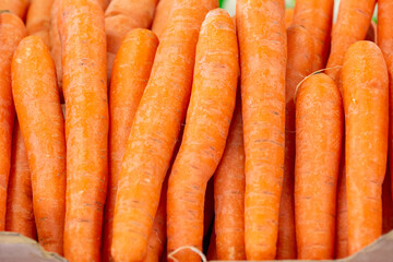 Close Up of Group of Fresh Carrots at the Italian market