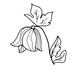 Vector children's design for backgrounds and fabrics, postcards.Sakura,plant,flower,inflorescence