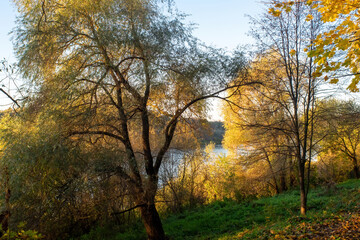 Fototapeta premium the bank of a large river on a clear day