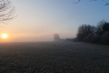 A hoarfrost covered misty meadow at sunrise in the Siebenbrunn nature reserve near Augsburg, Germany