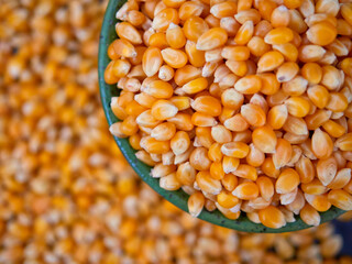 Popcorn kernels in a green bowl, top view, selective focus