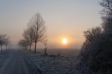 A hoarfrost covered misty meadow at sunrise in the Siebenbrunn nature reserve near Augsburg, Germany