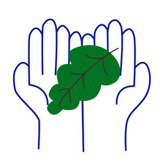 Close up of safe hand holding leaf. isolated on white background, vector illustration