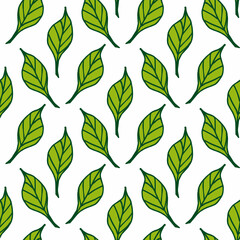 Seamless pattern with awesome green leaves on white background. Vector image.
