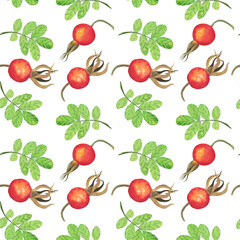 Rose hip berry and leaf in seamless pattern isolated on white background. Watercolor hand drawing illustration. Perfect for food design, textile, wrapping.