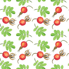 Rose hip berry and leaf in seamless pattern isolated on white background. Watercolor hand drawing illustration. Perfect for food design, textile, wrapping.