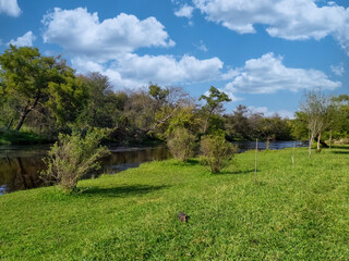 orilla del rio  con parque y arboleda al costado del rio