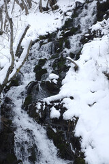 Fototapeta na wymiar Torrent de montagne en hiver sous la neige