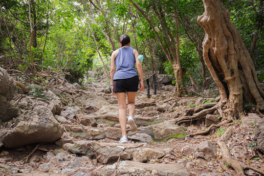 Forest hike trail hiker woman exercise walking in nature stone forest.