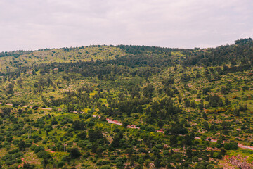 Aerial panoramic view from a hot air Balloon of a mountain in the Galilee, Israel filled with green grass and trees. Along the mountain there is a walking path.