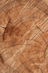 a wood wooden orange texture background
