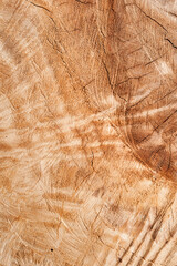 a wood wooden orange texture background