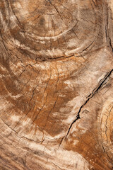 a wood wooden orange texture background