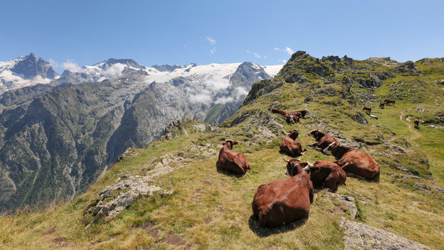 randonn&eacute;e au plateau d'emparis, massif des &eacute;crins