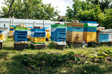 Bees at old hive entrance. Bees returning from honey collection to yellow hive. Bees at entrance....