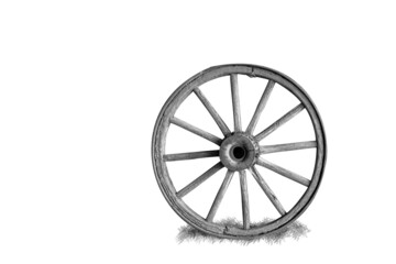 Fototapeta premium A roda