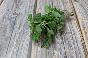 organic fresh bunch of mint closeup on a wooden rustic table