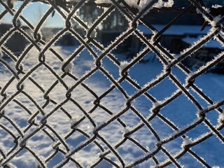 Fototapeta premium metal frosted fence in winter