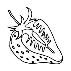 Single element of Strawberry slice in doodle summer set. Hand drawn vector illustration for greeting cards, posters, stickers and seasonal design.
