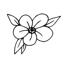 Single element of Strawberry slice in doodle summer set. Hand drawn vector illustration for greeting cards, posters, stickers and seasonal design.