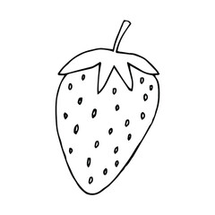Single element of Strawberry slice in doodle summer set. Hand drawn vector illustration for greeting cards, posters, stickers and seasonal design.
