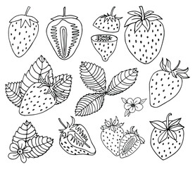 fresh strawberries berries and leaves doodle style. illustration black on white background. set whole berries and pieces.