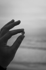 Black and white sea shell held by a hand on a blurry background of the ocean